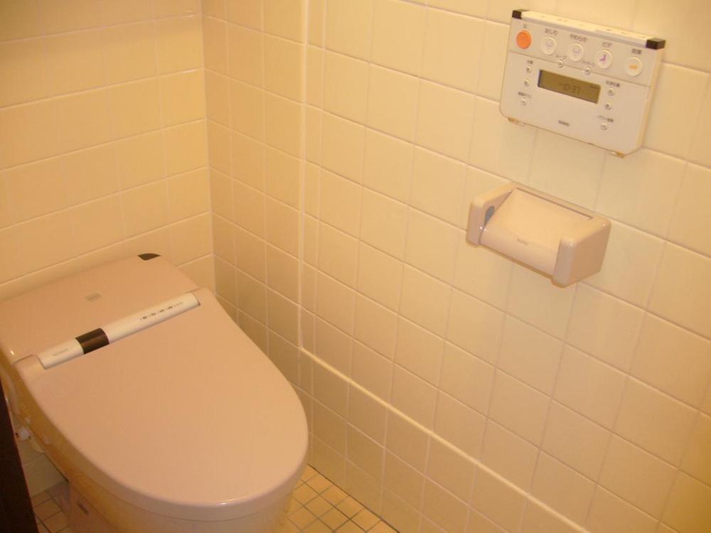 Toilet. It had made to the tank-less type