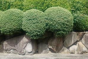 Other. Walk to the Hamaderakoen in 2 minutes. A familiar lush park, Also calm residential area around. Lined with planted 栽豊 Kana outside the structure in the surrounding area, It has become a calm residential area.