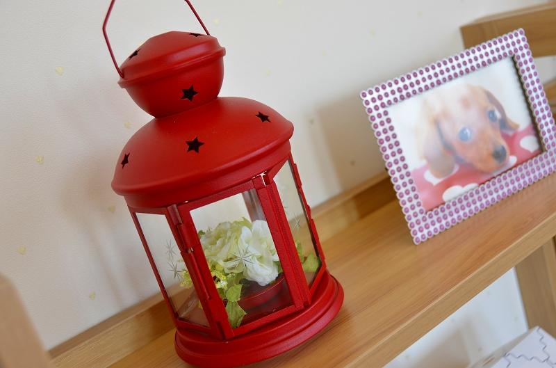 Other.  ◆  ◆  Image (our example of construction)  ◆  ◆ There are new family together for the sake of "this" in question family. . . New city block that also your neighborhood to live a long time in the live easy new town do not need a hesitation. "Clever Fort Feng" will be the home of the new family