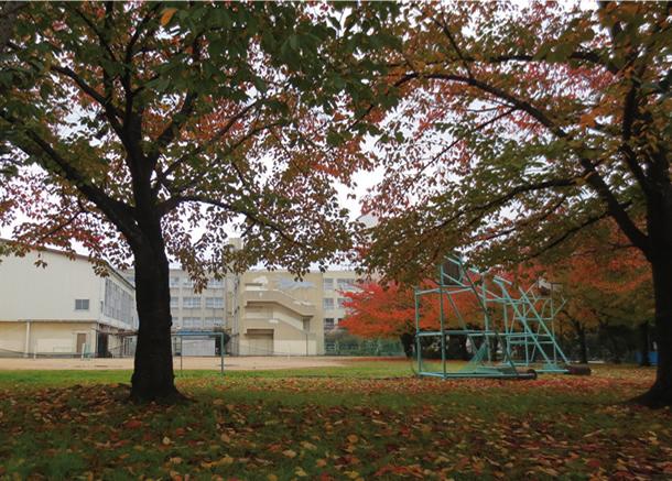 Junior high school. Feng 710m until junior high school