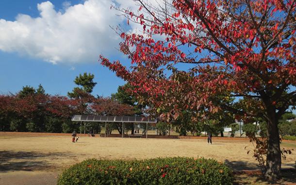 park. 310m until the new park