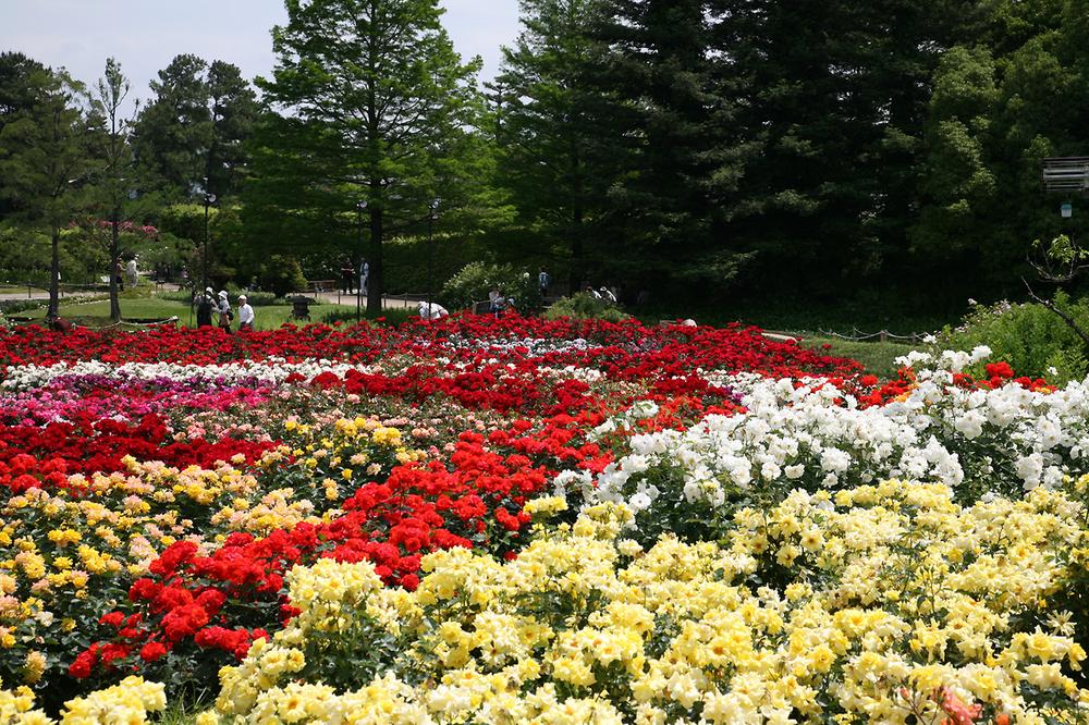 park. Until Hamaderakoen 1360m