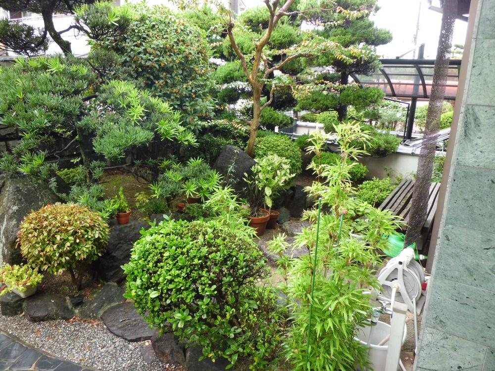 Garden. Local (10 May 2013) Shooting