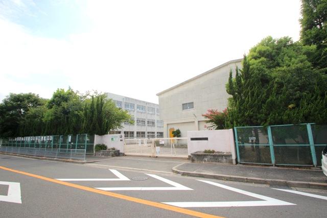 Primary school. Sakaishiritsu Mukogaoka until elementary school 139m