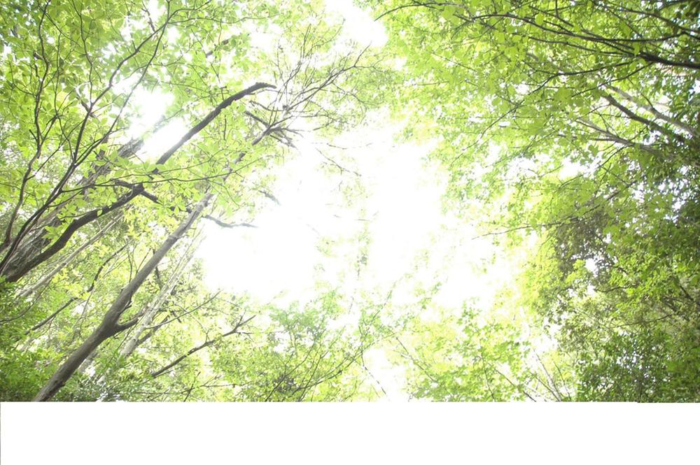 park. 424m to Sakai City public green space