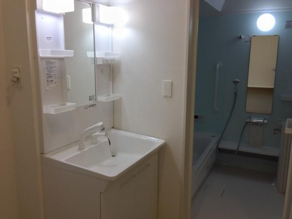 Wash basin, toilet. Smooth dressing in the wash basin shower