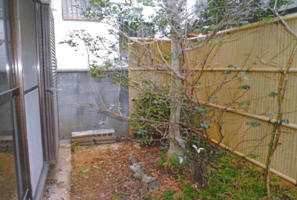 Garden. Local (11 May 2013) backyard shooting