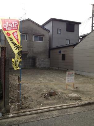 Local land photo. Appearance (1)