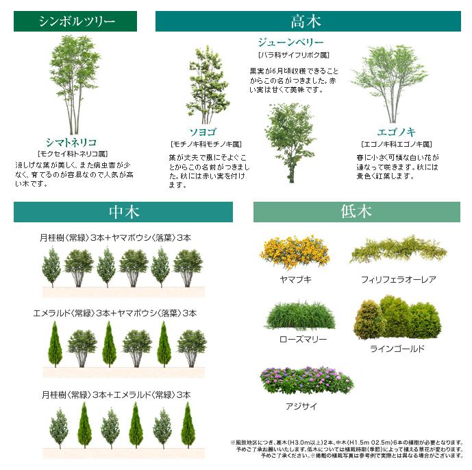 Other. One for each residence, In addition to planting the "Fraxinus griffithii", which is the symbol tree, evergreen ・ Offer a rich planting a combination of deciduous trees. Tall tree ・ Nakaki ・ Since the shrub a can select your choice, To achieve a living with a lush beautiful garden.