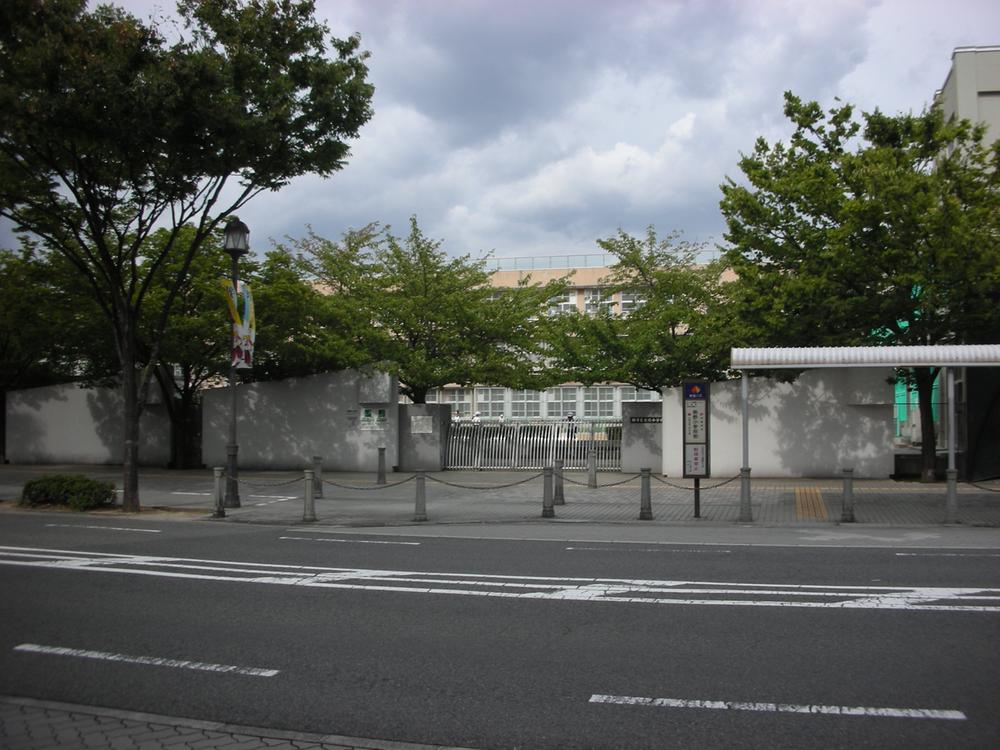 Primary school. Sakaishiritsu Kumano until elementary school 500m walk 5 minutes