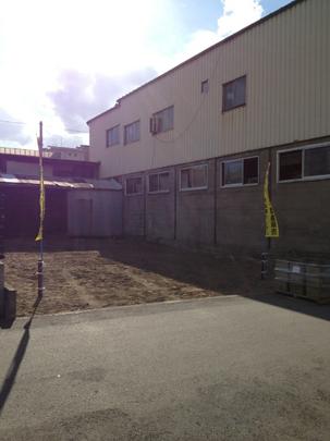 Local land photo. Appearance (1)