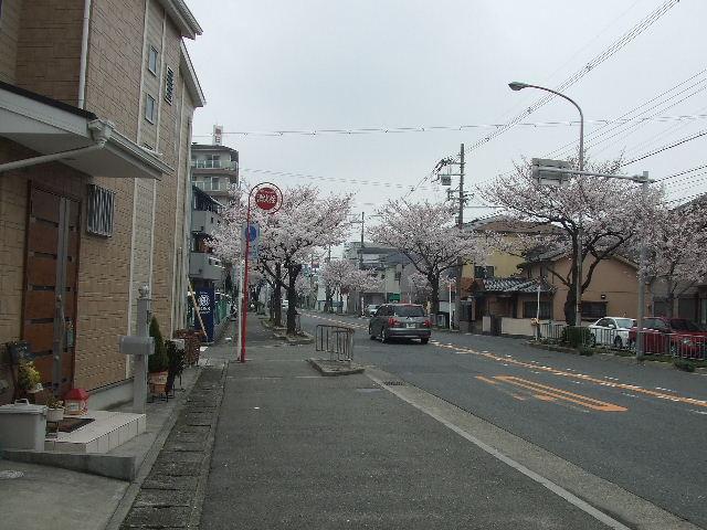 Local photos, including front road