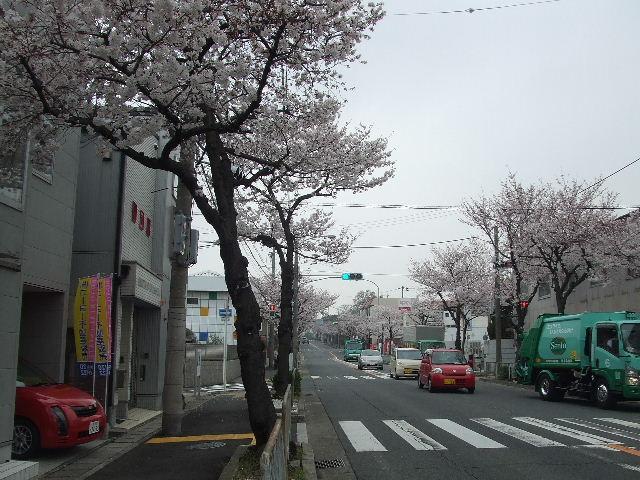 Local photos, including front road. Facing the floor south, Day is well open