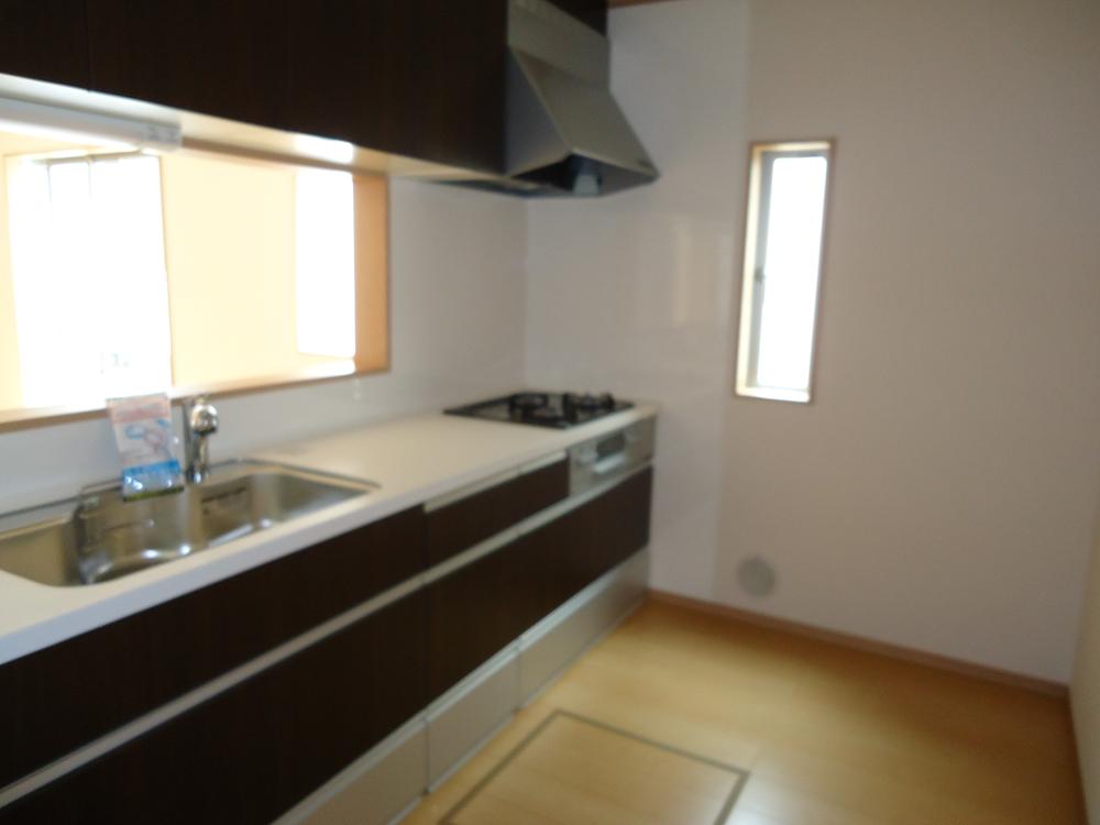 Kitchen. Water purifier visceral faucet