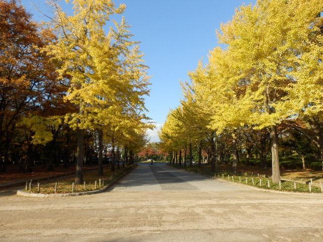 park. New condominium start! Please join us feel free to.