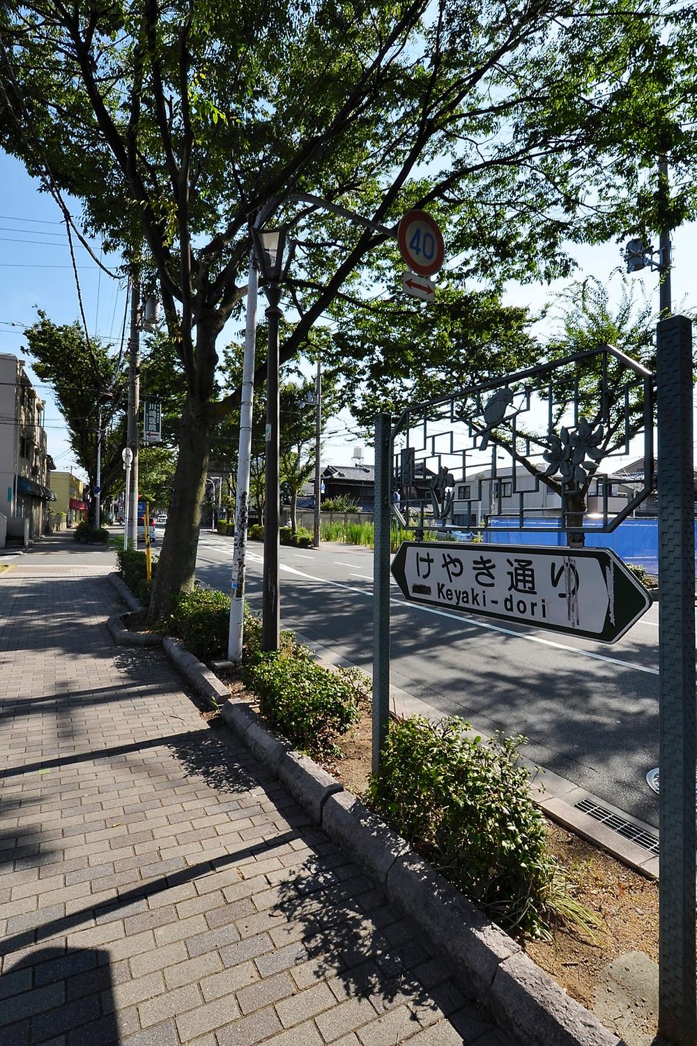 Streets around. Zelkova street