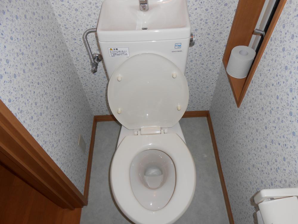 Toilet. Toilet with cleanliness.