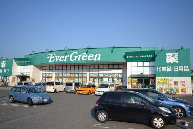 Drug store. 1486m to Eva Green Kishiwada kumeta shop