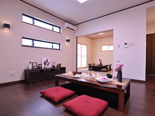 Living. Light plug living.