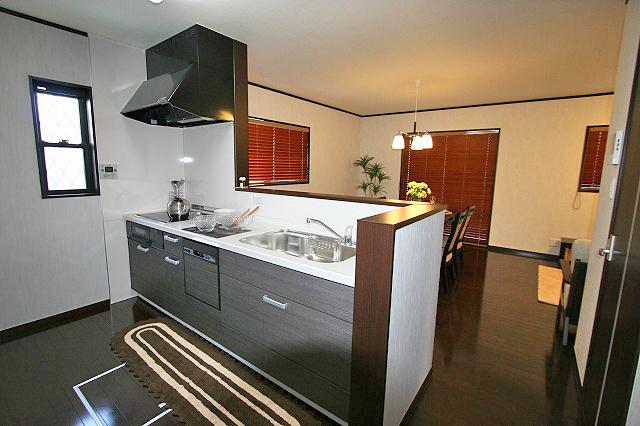 Kitchen. Face-to-face kitchen