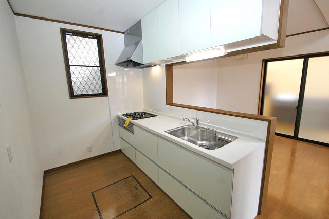 Kitchen. System kitchen had made