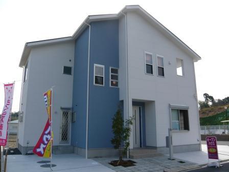 Rendering (appearance). House to design themselves, Select home birth!