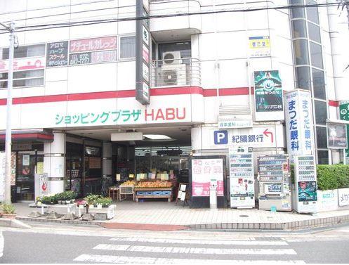 Shopping centre. Shopping Plaza HABU 1200m