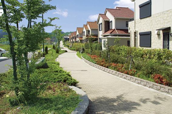 Other local. Green canal total length of about 600m of a width of about 10m (including the planting corner of both sides). Color both sides rich planting, Car can walk comfortably without worrying about (already sale district-ku, Tokyo)