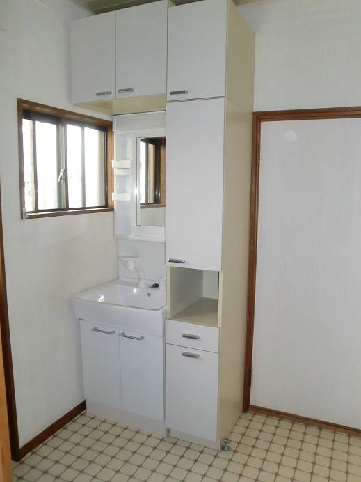 Wash basin, toilet. Vanity already replacement