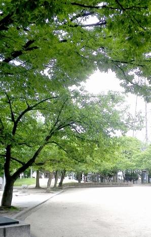 Abandon Hashirimawareru spacious Sakura Park. Sandpit, There is a playground equipment slide and trees of increased production (5-minute walk ・ About 350m)