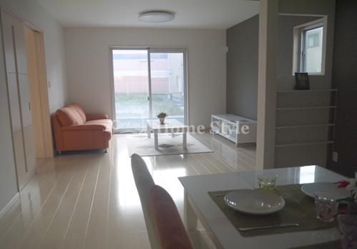 Living. Model room (living)