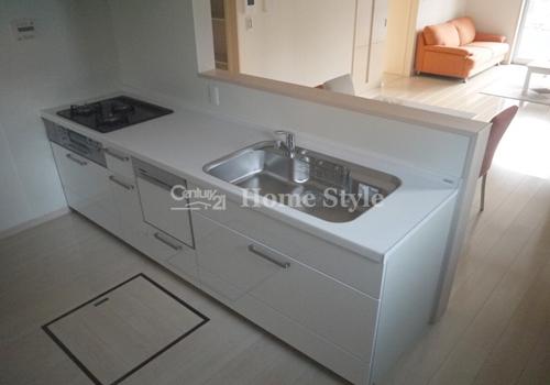 Kitchen. Model room (kitchen)