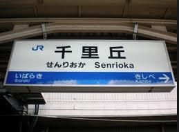 Other. I'm glad station Chica property!