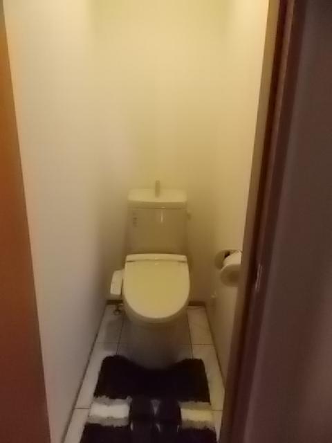 Toilet. Bidet with function