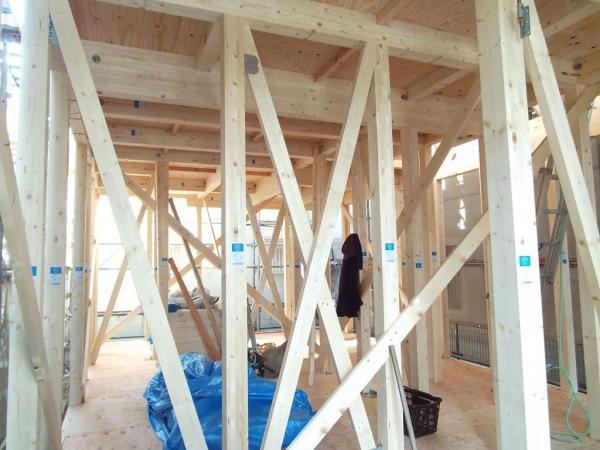 Local appearance photo. Double of muscle differences