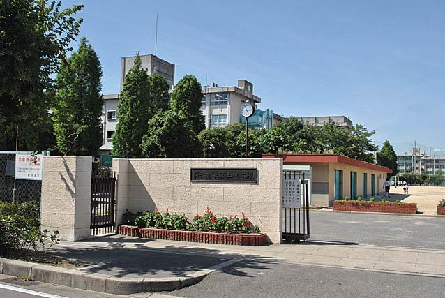 Junior high school. The third junior high school