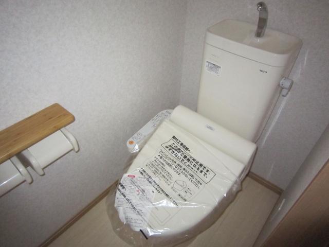 Toilet. Shooting from the room