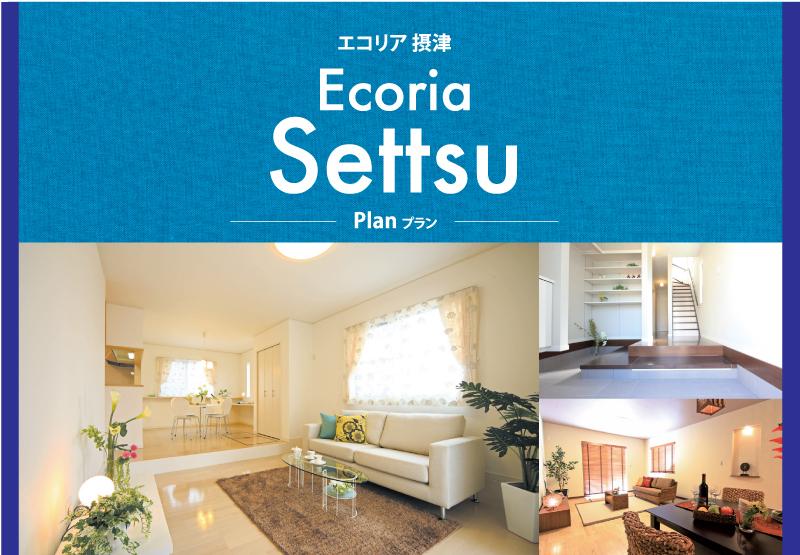 Osaka Prefecture Settsu Beppu 2-1310 No.