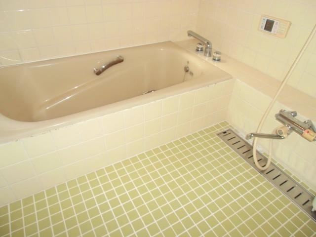 Bathroom. ◇ is the bath of shade with a clean feeling