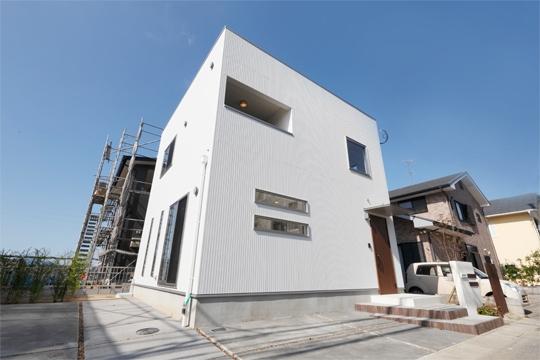 Rendering (appearance). Same specifications photos (appearance)