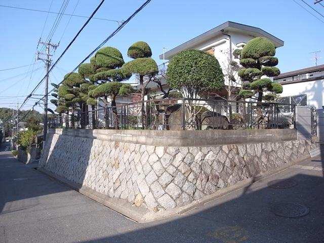 Local photos, including front road