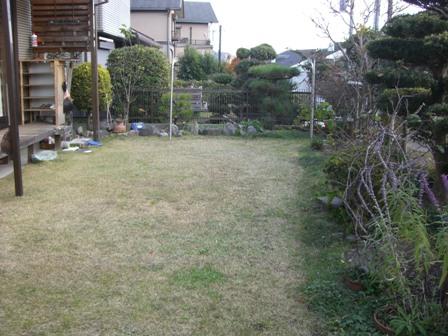 Garden. Local (March 2013) Shooting