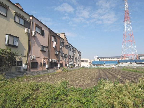 Other local. Since there is no building on the back sunny! 