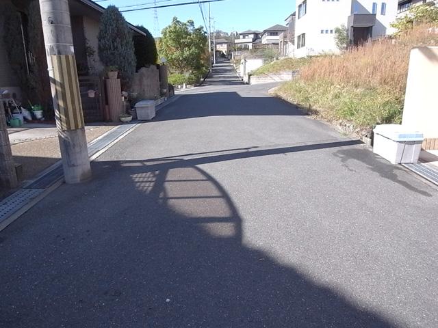 Local photos, including front road