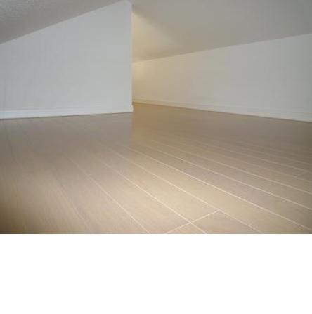 Other introspection. Local appearance photo (attic space)