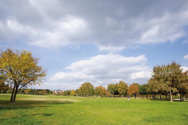 park. Fukakita good day picnic with everyone of 1340m weather to green space. Of course, the leisurely walk the walking path surrounded by trees, Tennis courts and athletic, Also play happily children because there is also a playground equipment.