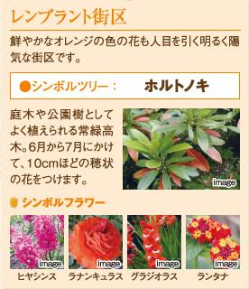 Other.  [Rembrandt Street District] Bright orange color of the flower is also a bright and cheerful city block eye-catching.