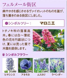 Other.  [Vermeer Street District] Choose the one of Violet to feel refreshing, It was in the city block with calm.