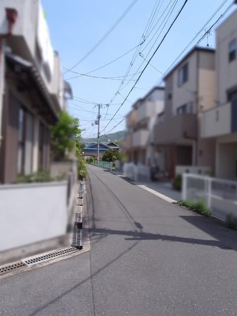 Local photos, including front road