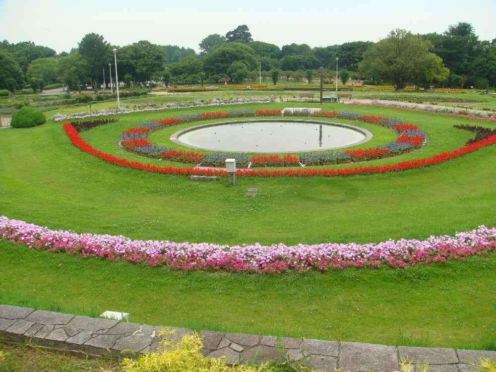 Streets around. Easy flat destinations to parkland